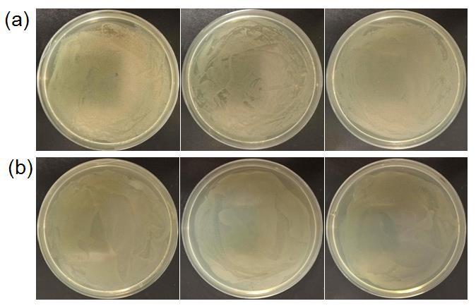 Figure S9. The photos of six plates seeded with 1x10 5 CFU of Amp r E. coli cultured in LB broth at (a) 37 o C and (b) 50 o C for 12 h.
