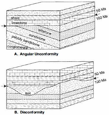 Schematic representation of four basic kinds of unconformities. Arrows indicate the unconformity surface.