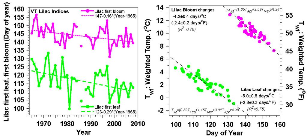 Coupling to Phenology -Lilacs Leaf-out earlier by 3 days/decade (tracks ice-out)