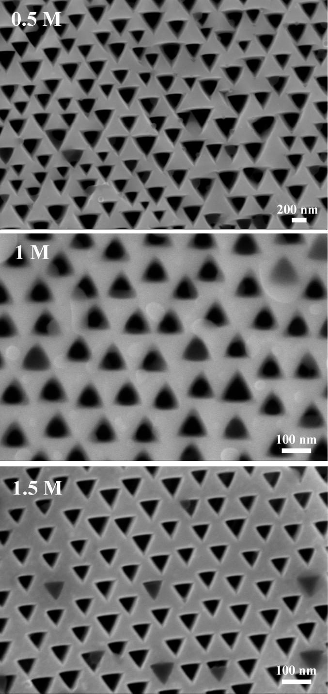 Fig. S4 SEM images of nanopores etched