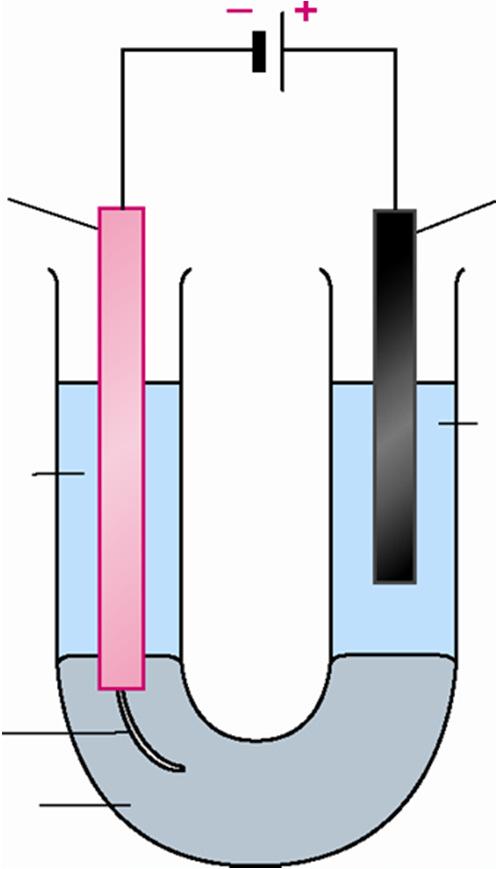2. Using mercury cathode and graphite anode When concentrated sodium chloride solution is electrolysed using a mercury cathode, sodium rather than hydrogen is produced at the cathode.