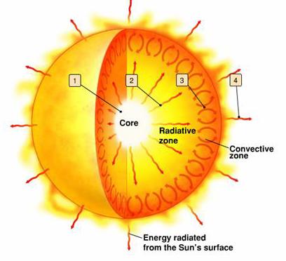 Solar Interior (Part II) Core central area where fusion occurs Radiation zone outside of core
