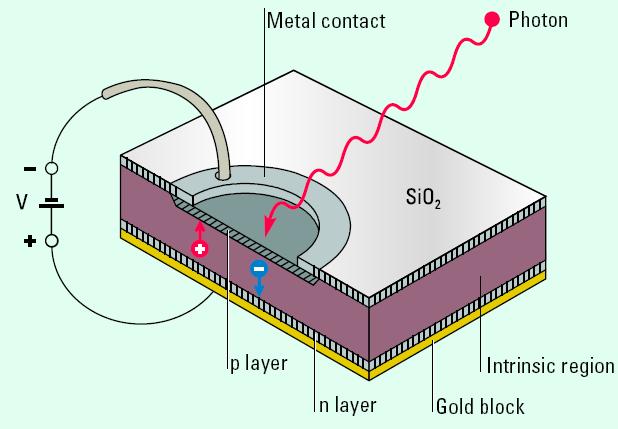 Silicon Photodiode Detectors Semiconductor material conducts current only under certain conditions Process: Solid-state detector; more reliable and robust.