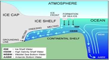 ice shelves in the ocean circulation and climate We have the longest and the coldest oceanographic time series from