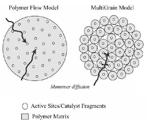 Figure 2.38 Representation of the polymer flow model (PFM) and the multigrain model (MGM).