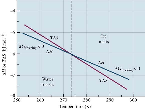 595 Competition between H and S G = H S In general, H < 0 & S > 0 G < 0 In freezing, H 2 O(l) H 2 O(s) H < 0 in favor of freezing ~ dominates when < f S < 0 in disfavoring freezing Fig. 13.
