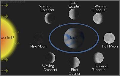 Moon Positions = Phases Where the moon is located in its revolution path gives us