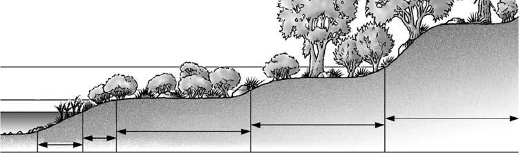 Micro-topographic variability in the overbank zone provides for frequent scouring, fine sediment deposition, and recruitment of robust willow and riparian shrub communities.