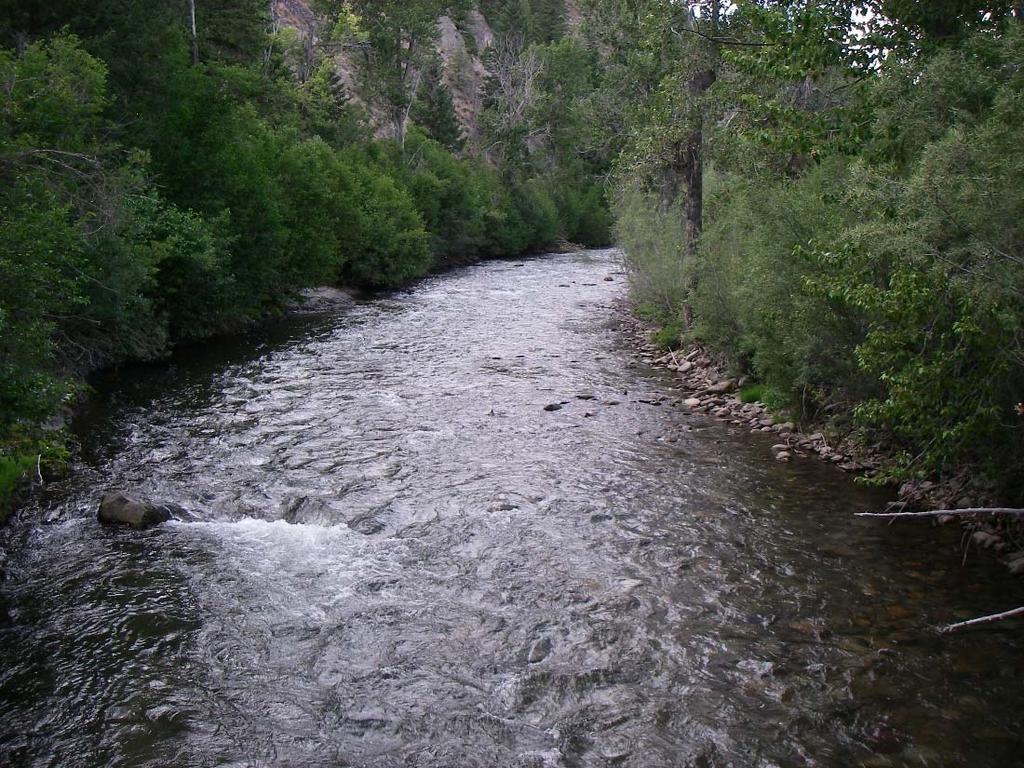 Creek Reference Reach. Figure 24.
