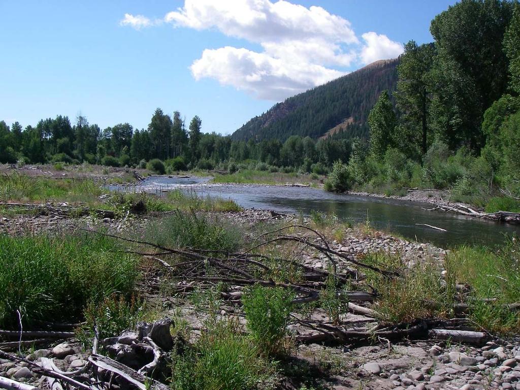 the Downstream of Deer Creek Reach. Figure 78.