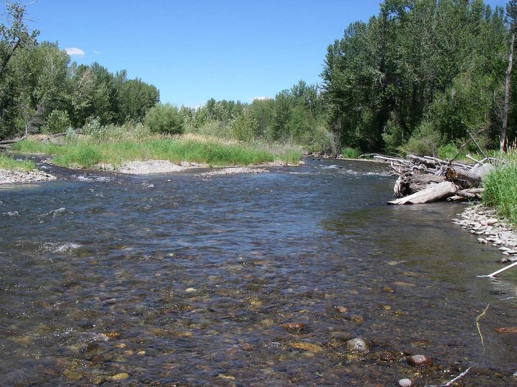 Figure 89. Photograph depicting mid-channel bar, braided channel configuration, and large woody debris accumulations in the Colorado Gulch Reach.
