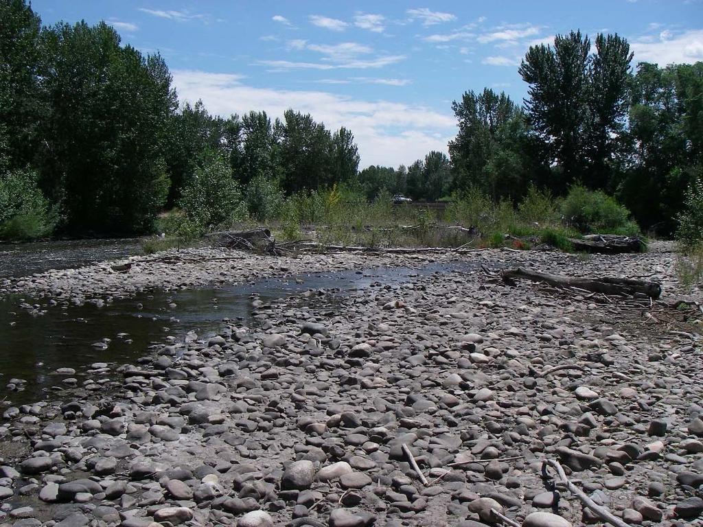 Figure 98. Photograph depicting typical sedimentation (mid-channel bars) in the Broadford Street Bridge Reach. Figure 99.
