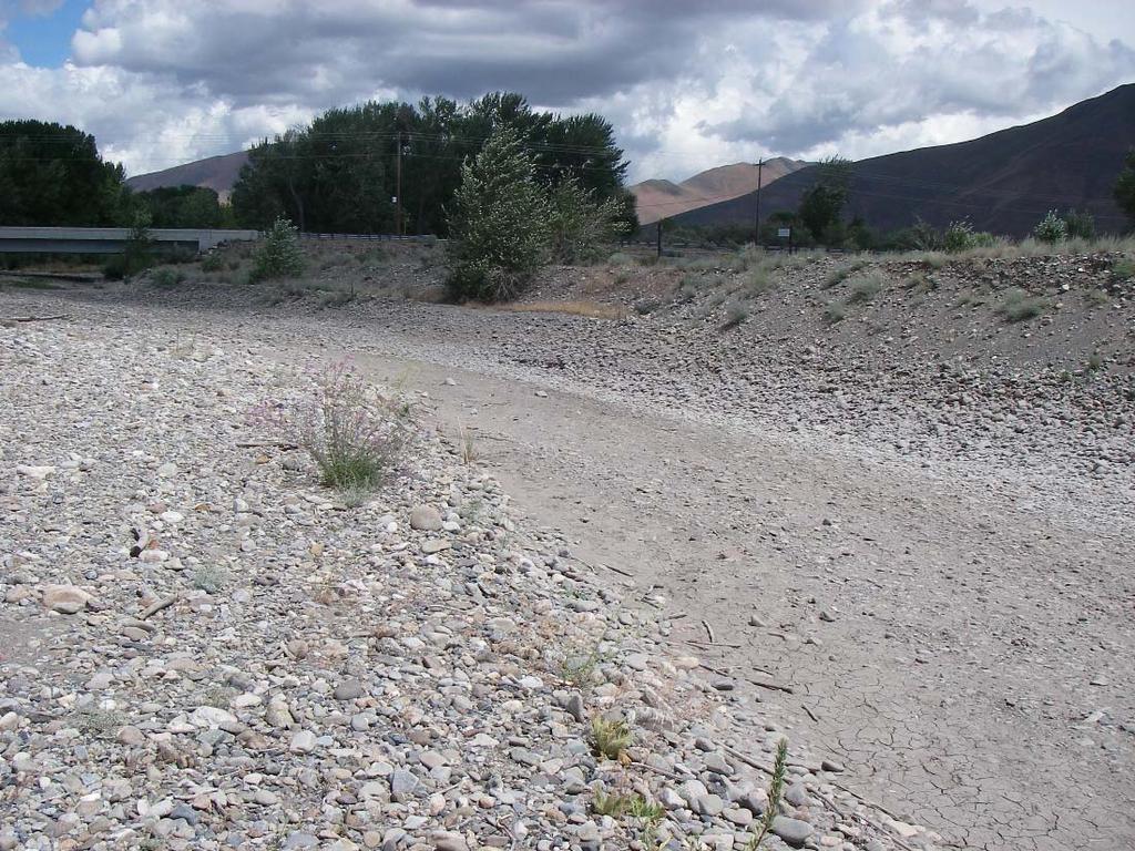 Figure 104. Photograph depicting typical denuded riparian vegetation in the Glendale reach. Figure 105.
