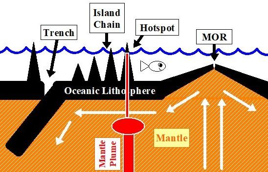 T. James Noyes, El Camino College Plate Tectonics Unit III: A Few More Details (Topic 11A-3) page 11 19. Examine the picture above. Do plates move towards or away from the mid-ocean ridge?