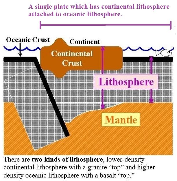 T. James Noyes, El Camino College Plate Tectonics Unit III: A Few More Details (Topic 11A-3) page 4 A single plate often contains both continental lithosphere and oceanic lithosphere Notice that a