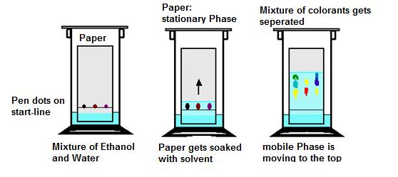 Procedure of a chromatographic separation Stationary phase: solid or liquid, different properties available