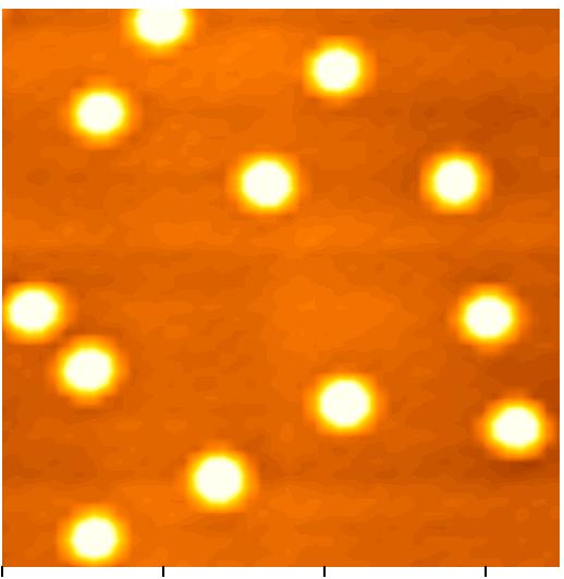 AFM Images of Ge/Si Quantum Dot Superlattices