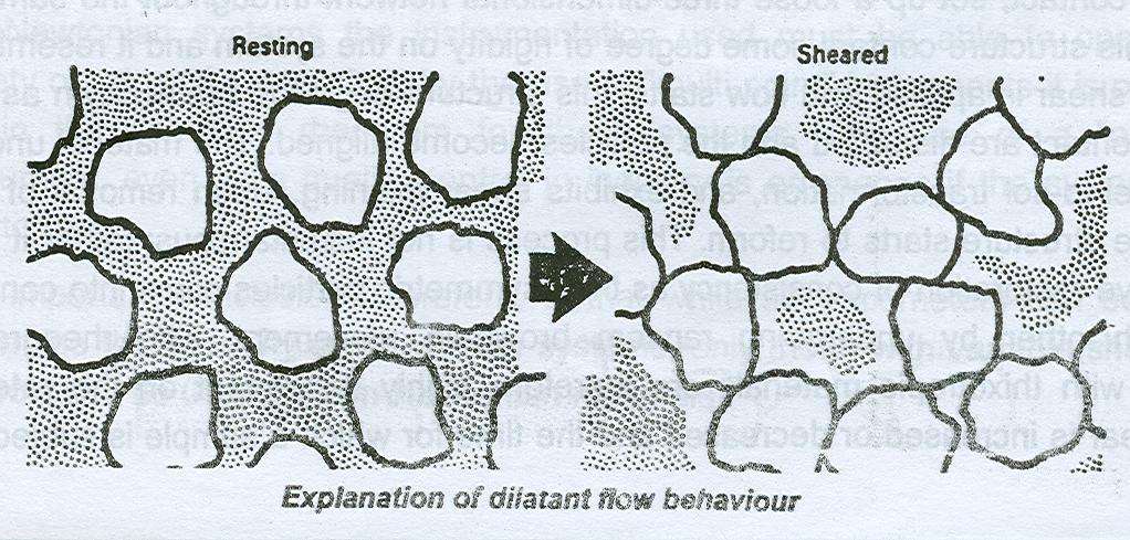 Dilatant behavior may be explained as follows: At rest, the particles are closely packed with the minimum interparticle volume, or voids.
