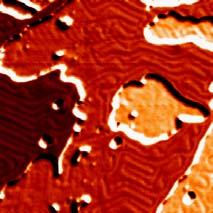 NanoSci Nano dz/dv (Å/V) dz/dv (Å/V) 7 6 5 4 3 2 1 0 12 9 6 3 0 Lab (a) (c) 1-layer Ag Au(111) 0 1 2 1 2 3 4 5 6 7 8 9 10 (d)