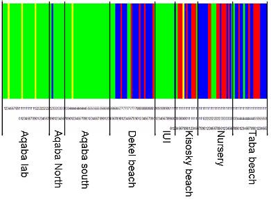 Figure A- 66 graphical presentation of the Bayesian clustering of all individuals, each individual is represented by a thin vertical line, each colour represent a different cluster.