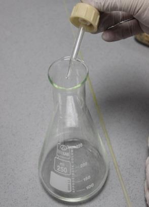 00 ml of standard HCl solution into a clean Erlenmeyer flask and add a few drops of phenolphthalein solution. 3.