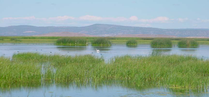 Project Area Lower Klamath Lake National Wildlife