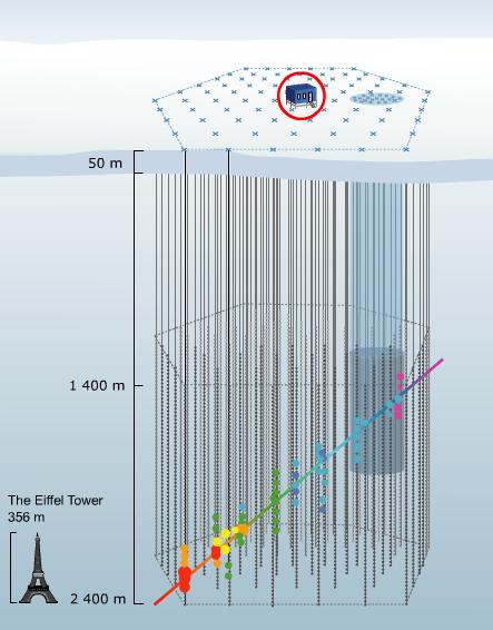 IceCube InIce detector 80 strings 60 optical