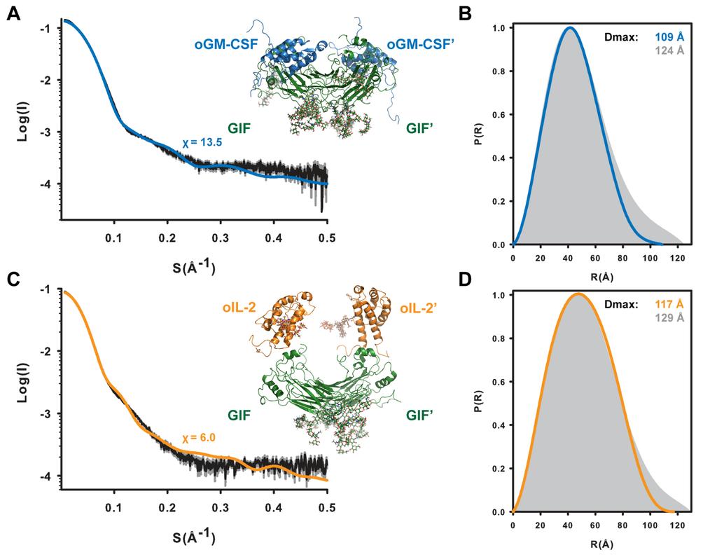 Supplementary figure 3: SAXS analysis of GIF:GM-CSF and GIF:IL-2 complexes.