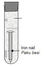 SULIT 7 4541/ 2.. Diagram 2.1 shows the observation in five test tubes used to investigate the effect of other metals on rusting of iron nail.