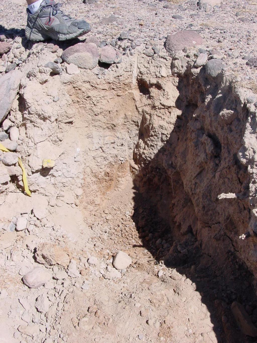 loess cap argillic (clay-rich) compound soil