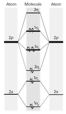 diagram for homonuclear diatomic