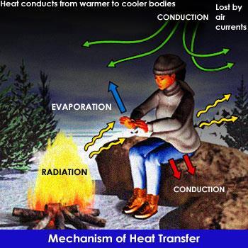 HEAT TRANSFER (THE MOVEMENT OF HEAT) Heat is transferred through: Radiation Conduction