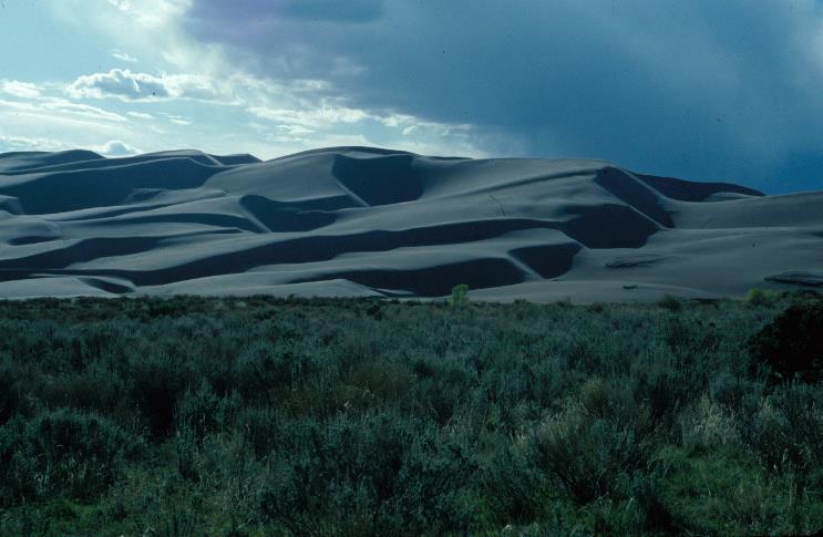 transverse dunes,
