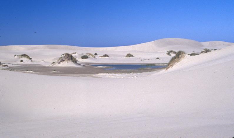 alternating dune sand