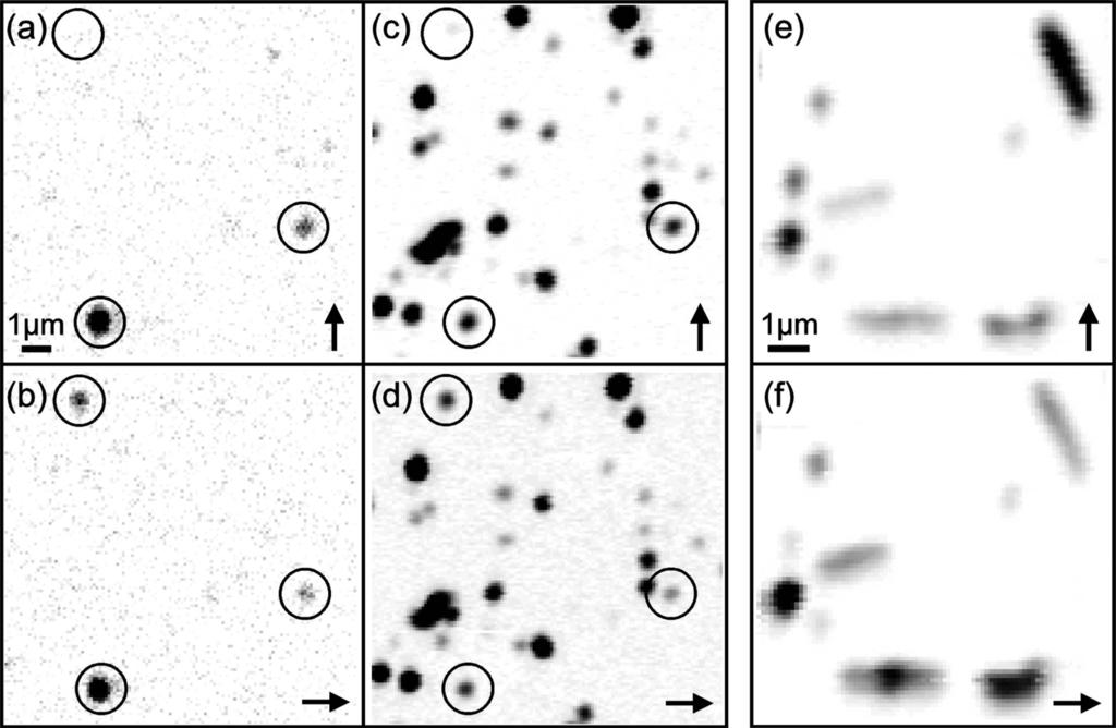 Figure 1. (a,b) Luminescence and (c,d) photothermal absorption images of the same region (12 12 µm 2 ) of a sample containing micelleencapsulated SWNTs.