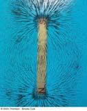 Magnetic Field Lines Iron filings are used to show the