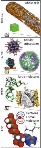Highlights of the VMD Molecular Graphics Program > 190,000 registered users Platforms: Unix / Linux Windows MacOS X Display of large biomolecules and simulation trajectories Sequence browsing and