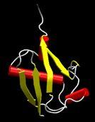 Ubiquitin 76 amino acids highly conserved covalently attaches