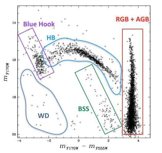 3 such cool stars in this UV plane is due to the spectral response of the filter F170W which suffers from a quite important red-leak (WFPC2 Instrument Handbook, August 2008).