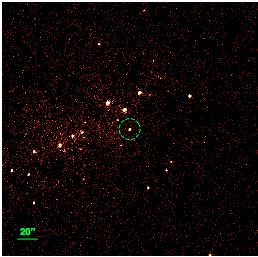 A 6.4 hr BH binary in NGC 4490 CXOU J123030.3+413853 (Esposito, Israel, Sidoli et al.