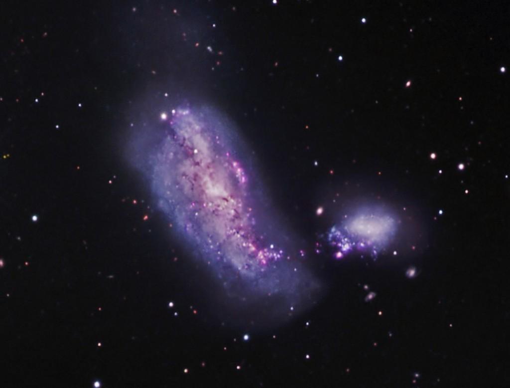 5 M # yr 1 ), low-metallicity spiral galaxy interacting with its irregular companion