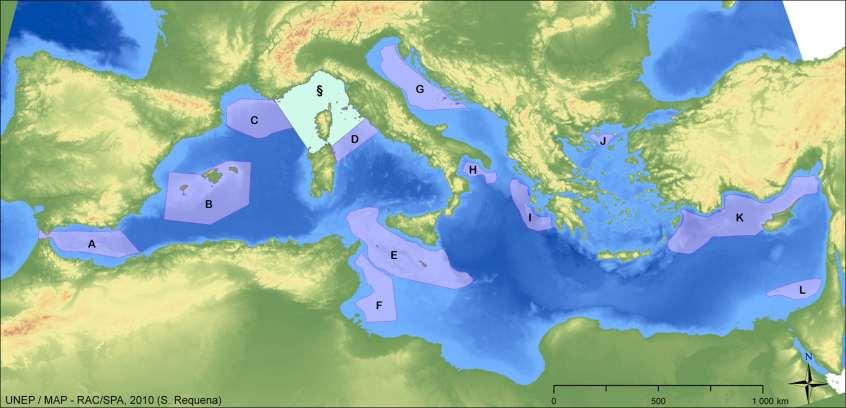 Priority conservation areas in the open seas, including the deep seas, likely to contain sites that could be candidates for the SPAMI List A: Alborán Seamounts; B: Southern Balearic; C: Gulf of Lions