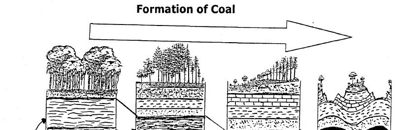Page 14 TIME peat lignite brown coal