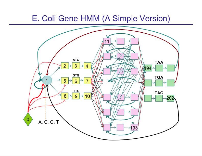 HMM applications Applications of HMMs Gene finding Pairwise alignment (pair HMMs)
