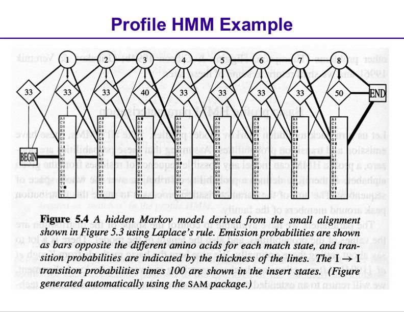 Profile HMM for the globins example What you can do with a profile HMM Classification: given a protein, we can compute its probability under the model, or compare it to a random model (using a