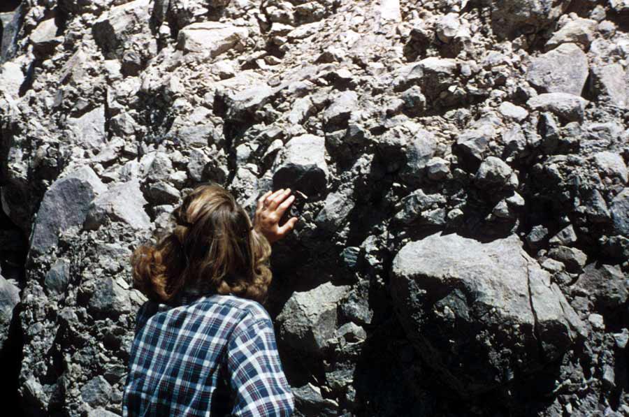 Volcanic breccia forms from a mixture
