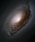 It contains about 5 galaxies of various sizes and types.