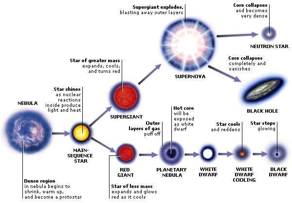 LIFE CYCLE OF A STAR 1.