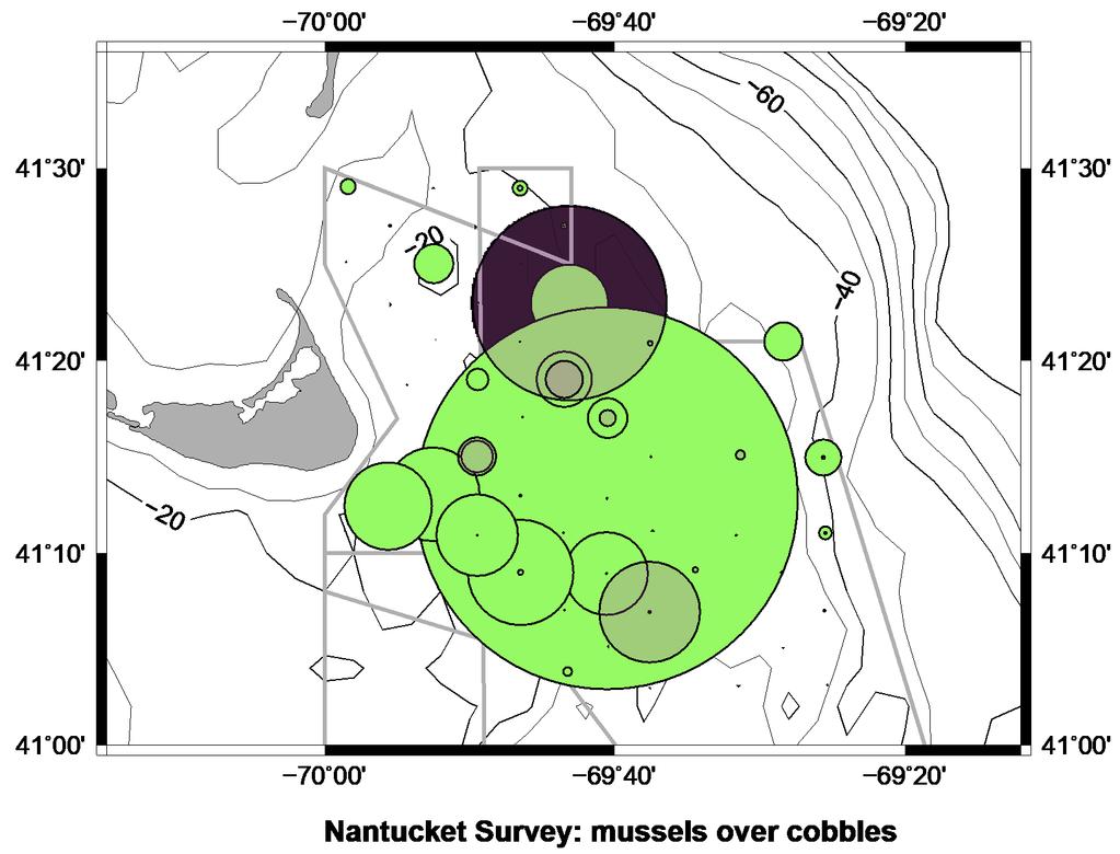 Differential distribution: cobbles versus mussels Mussels were Mytilus cf.