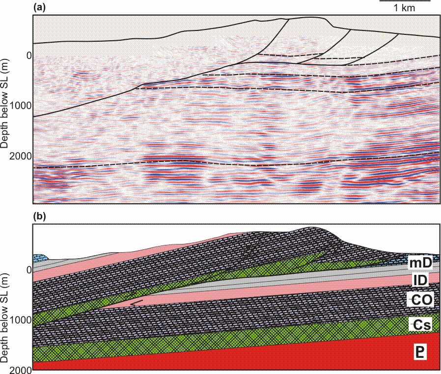 Fig. 6. (a) The final pre-stack depth migrated seismic data with the major faults marked by solid lines and the major lithologic boundaries by dashed lines.